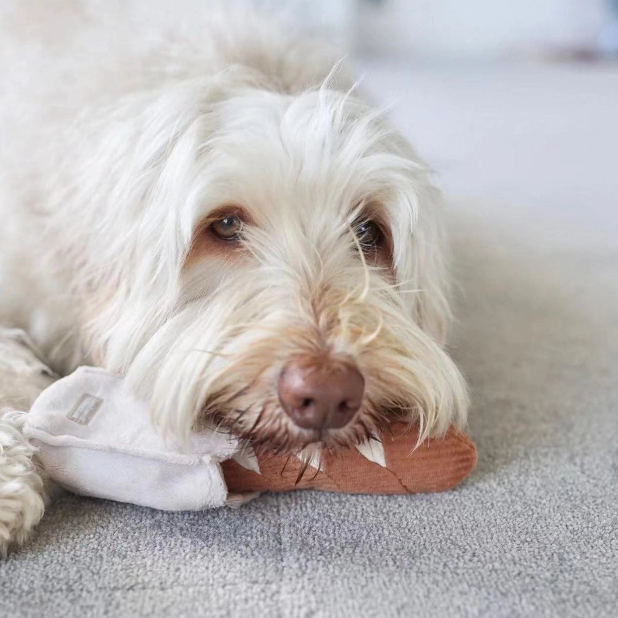 Jouet de fouille mini-baguette