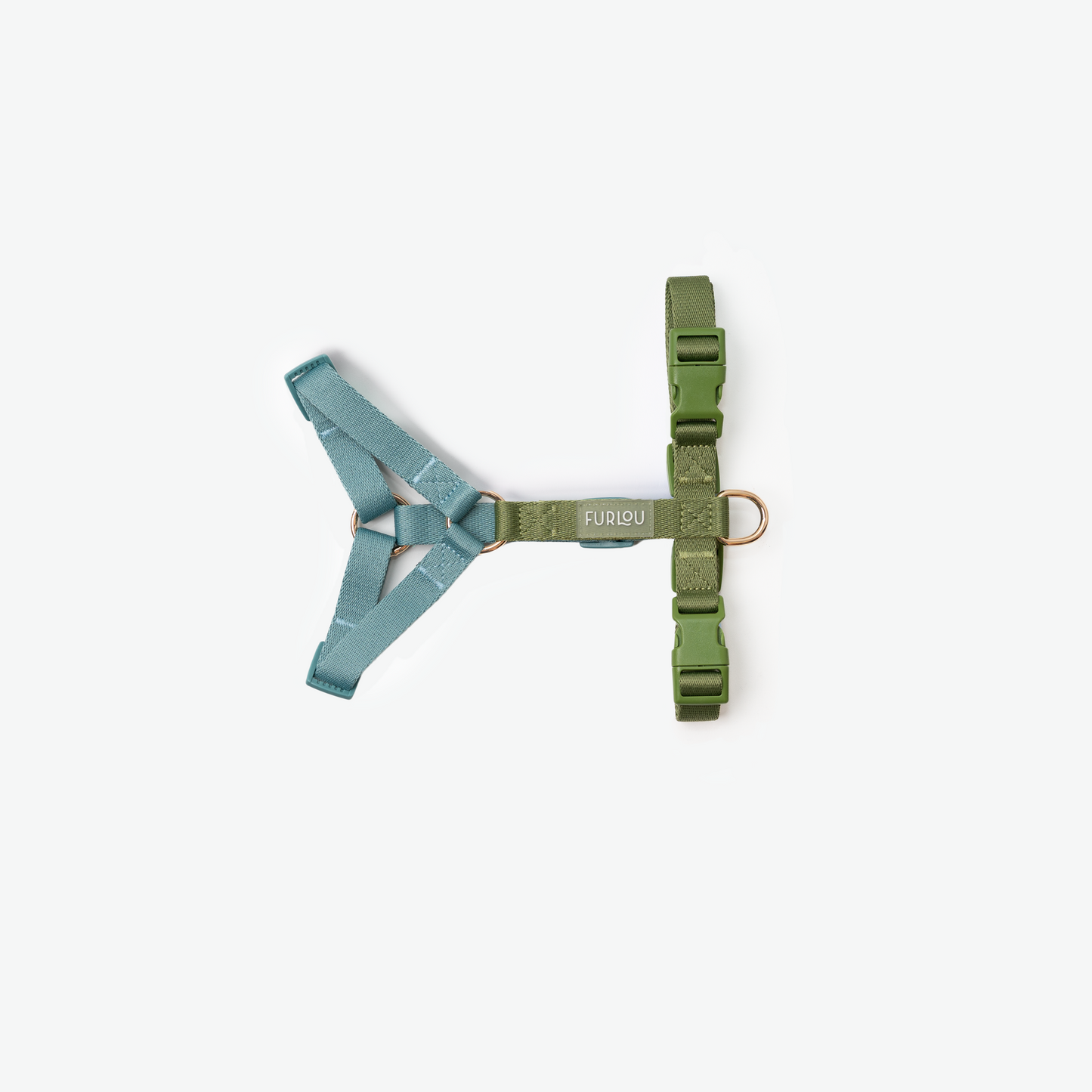 Harnais Blue + Green