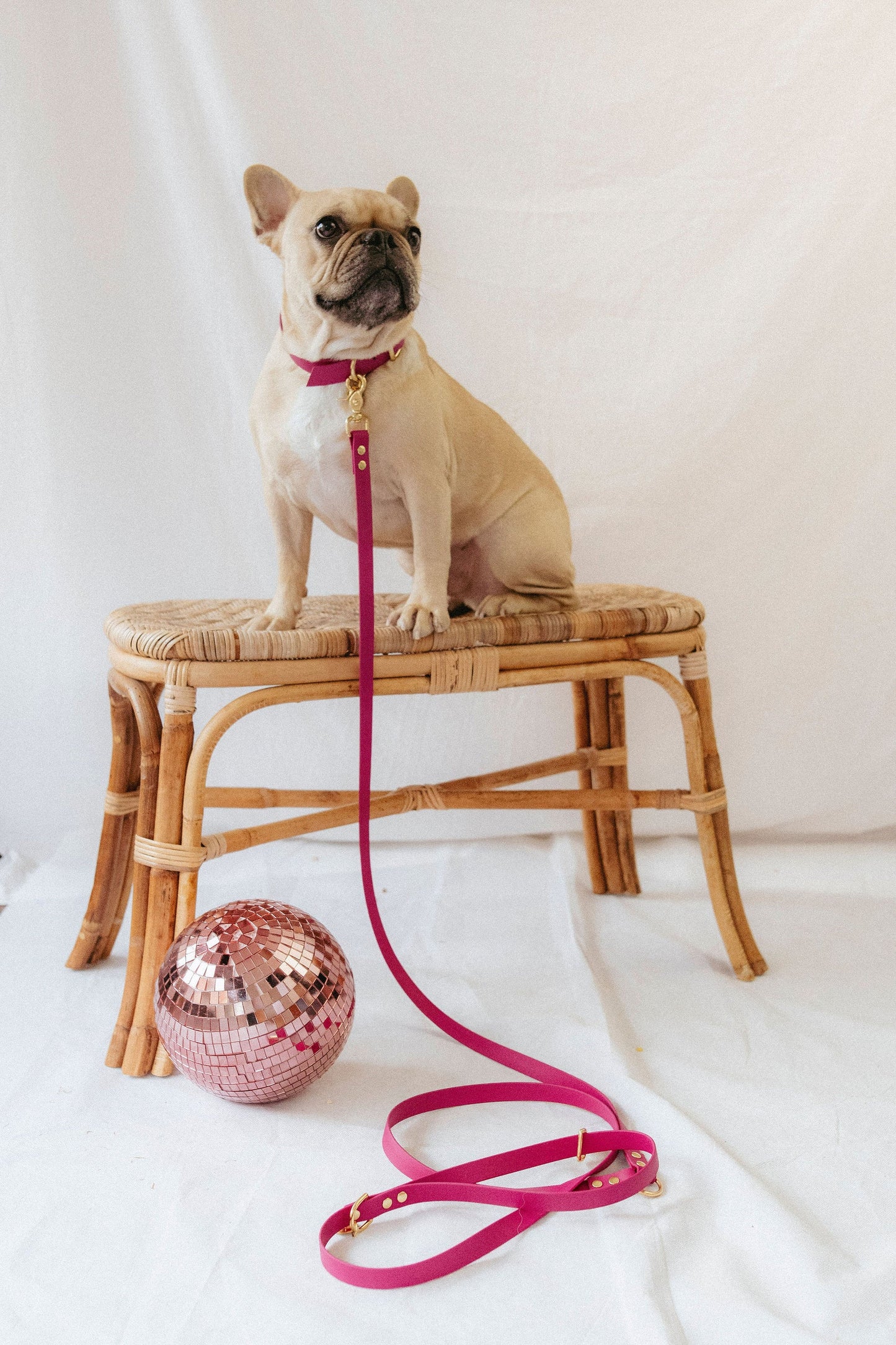 Collier biothane Magenta