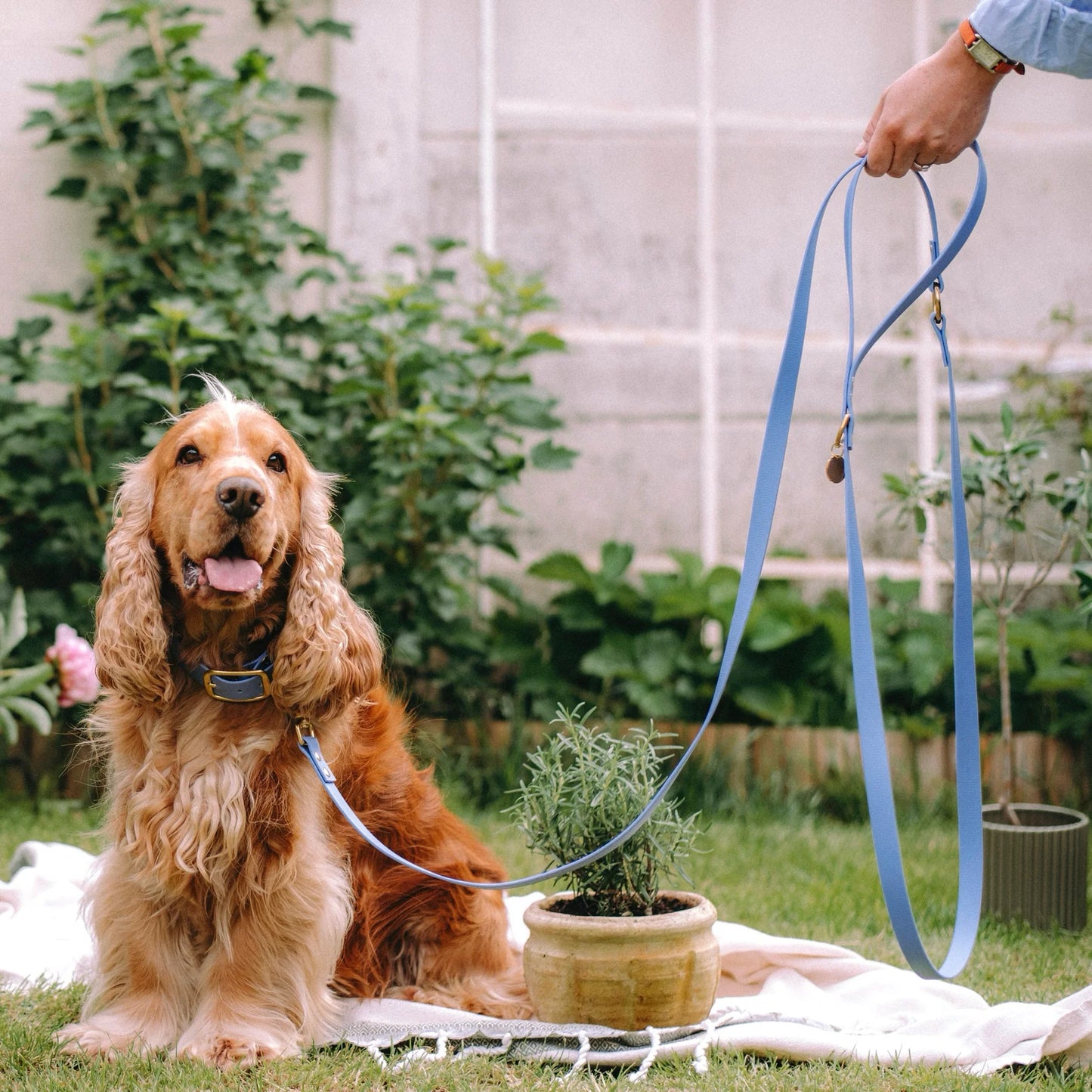 Laisse biothane multi positions Lavande