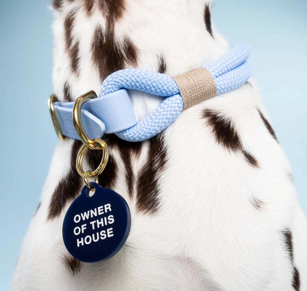 Médaille Owner of this house