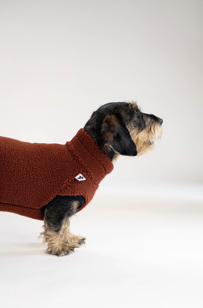 Pull polaire sherpa marron pour teckel