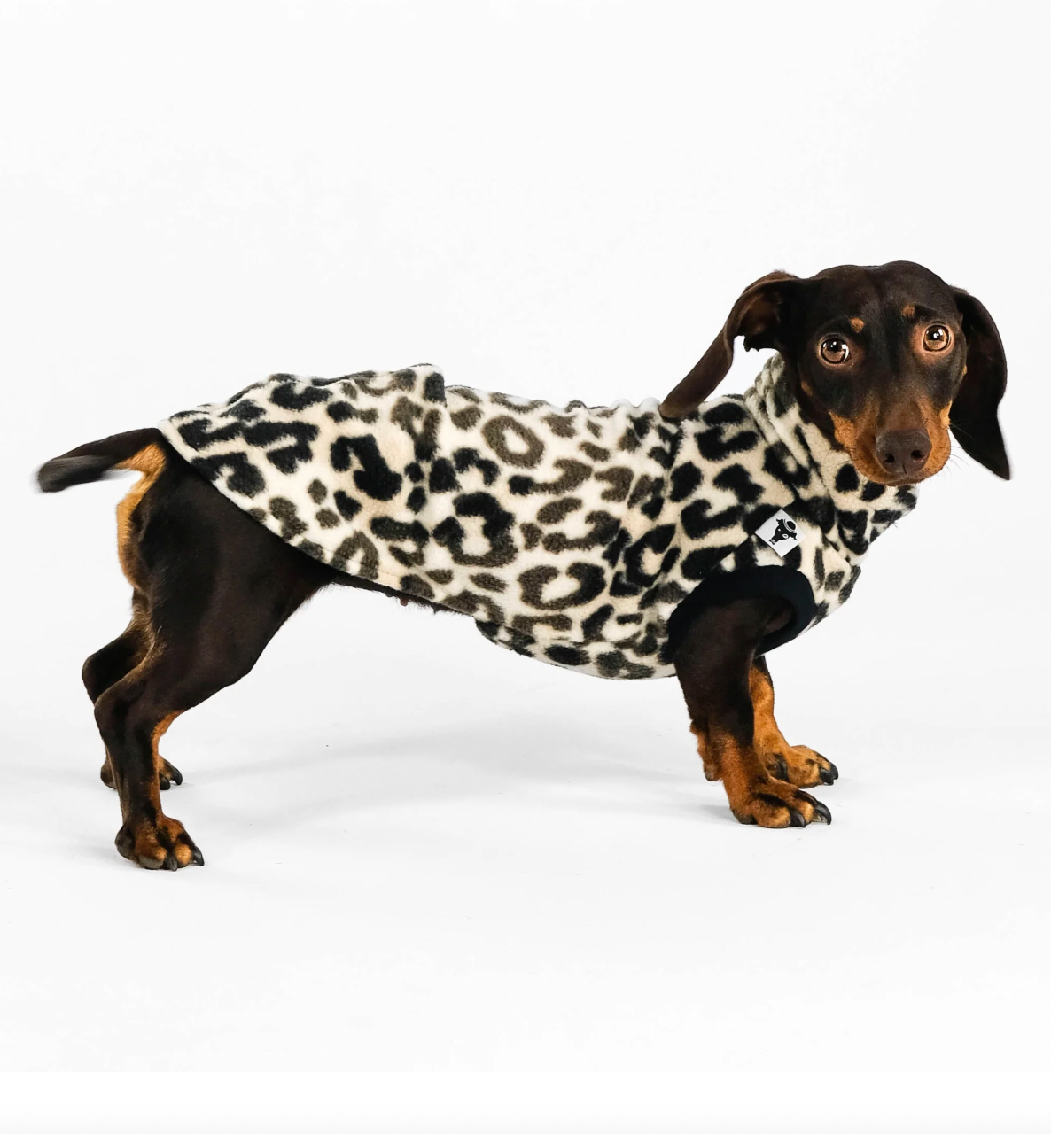 Leopard print fleece sweater for dachshund
