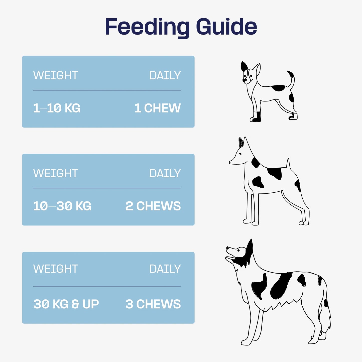 Complément Digestion