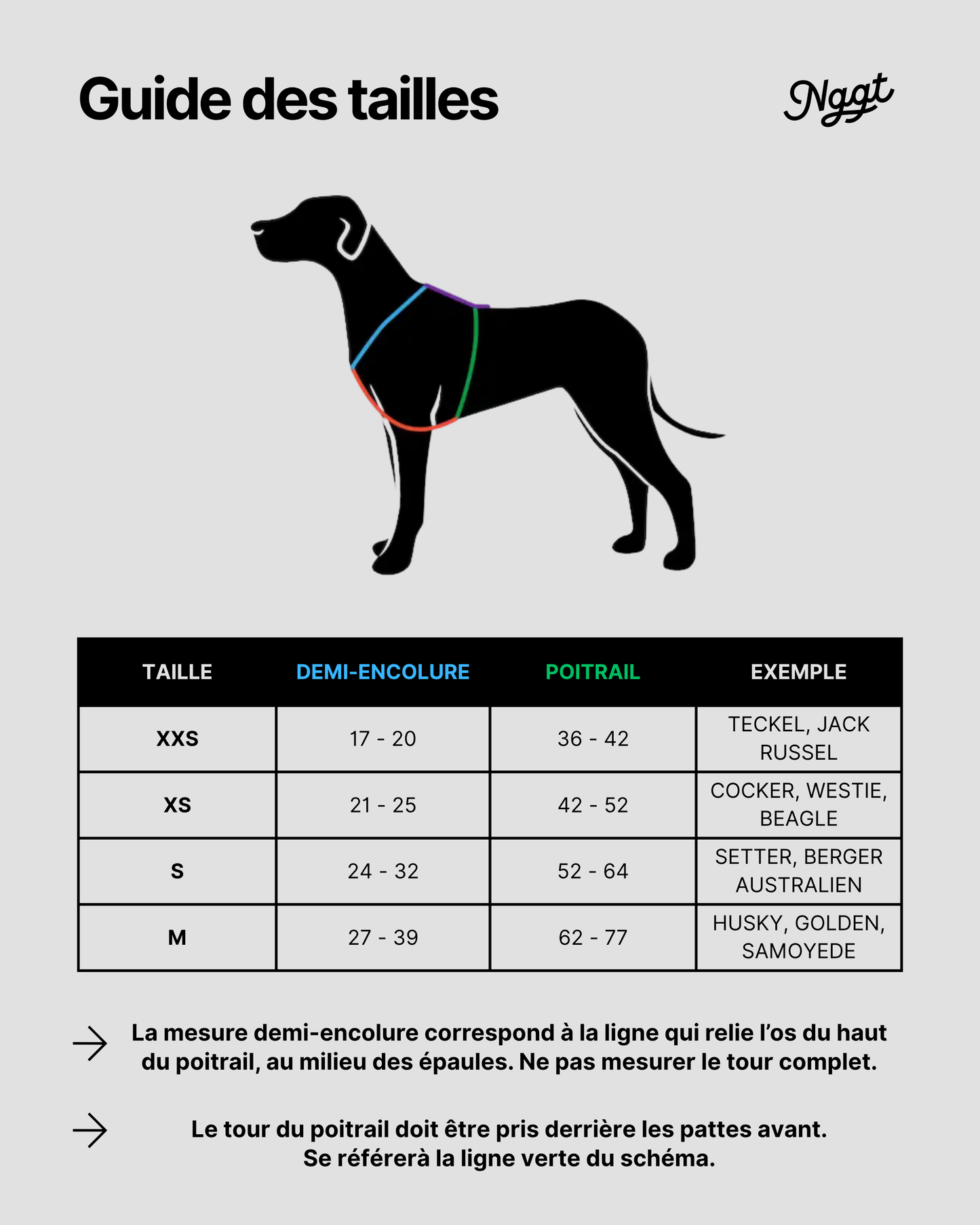 Harnais vert et lila