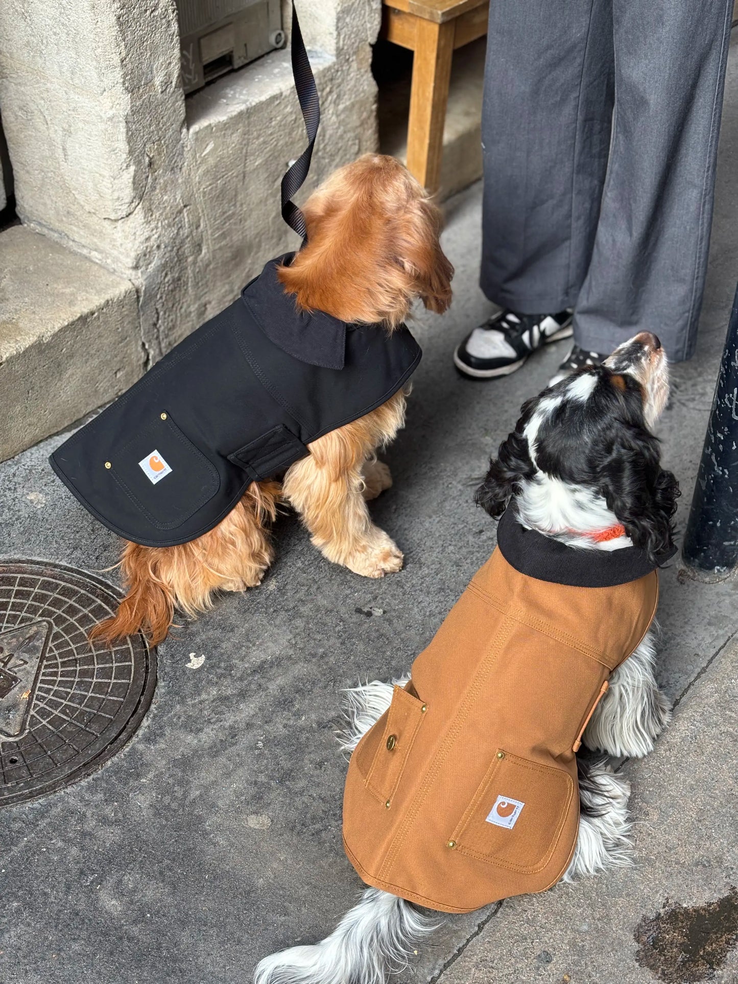 Manteau pour chien camel - Firm Duck Insulated Dog Chore Coat