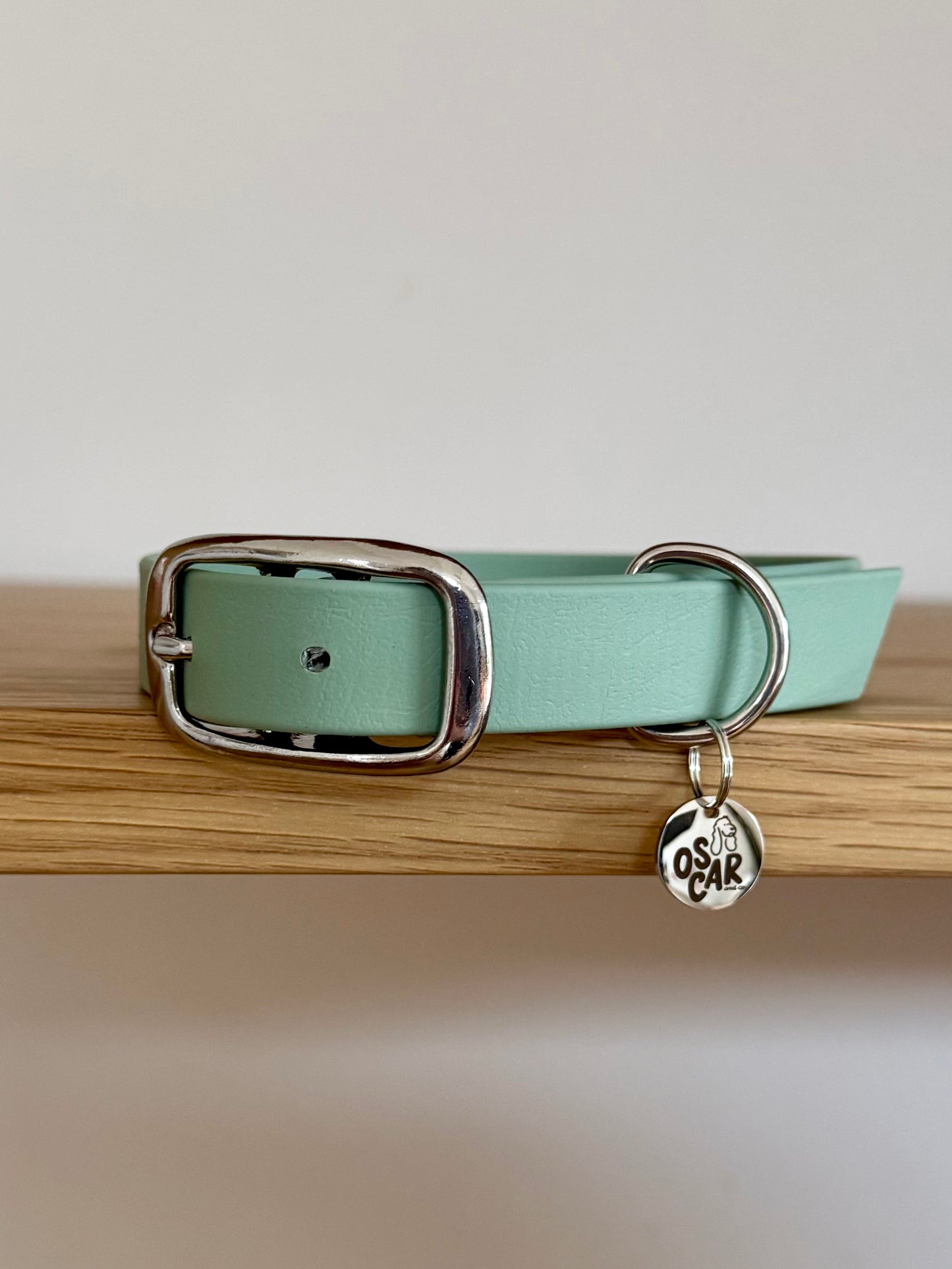 Collier biothane Sauge