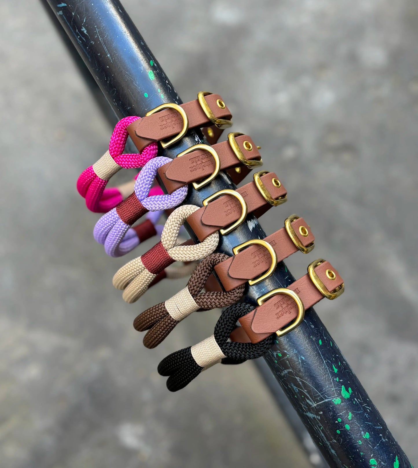 Rope and biothane collar