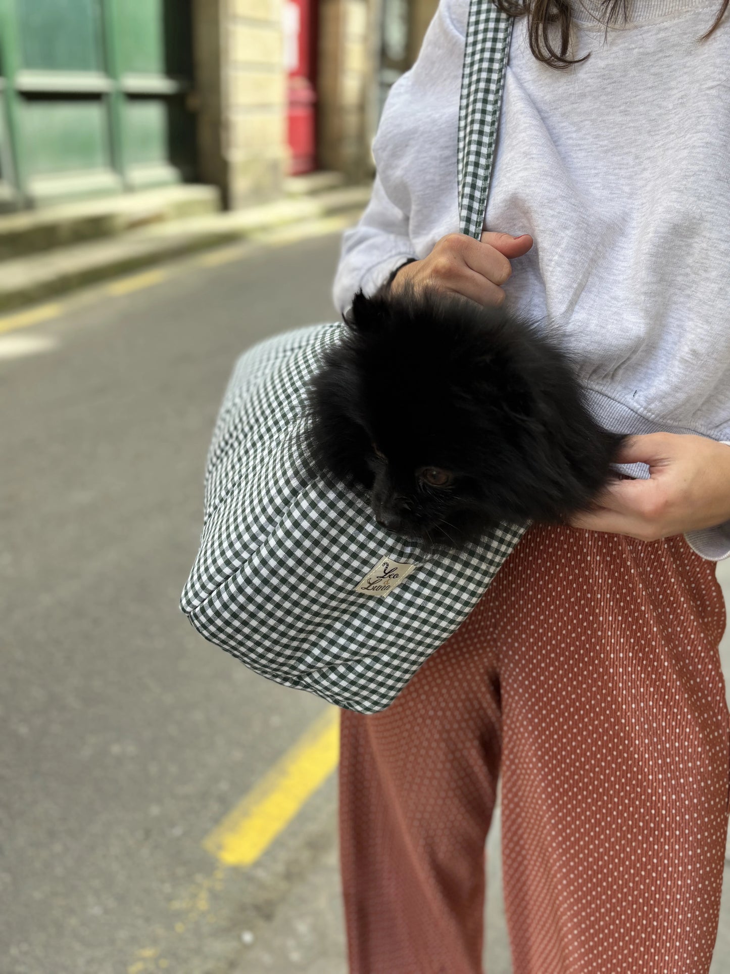 Sac de transport vichy vert