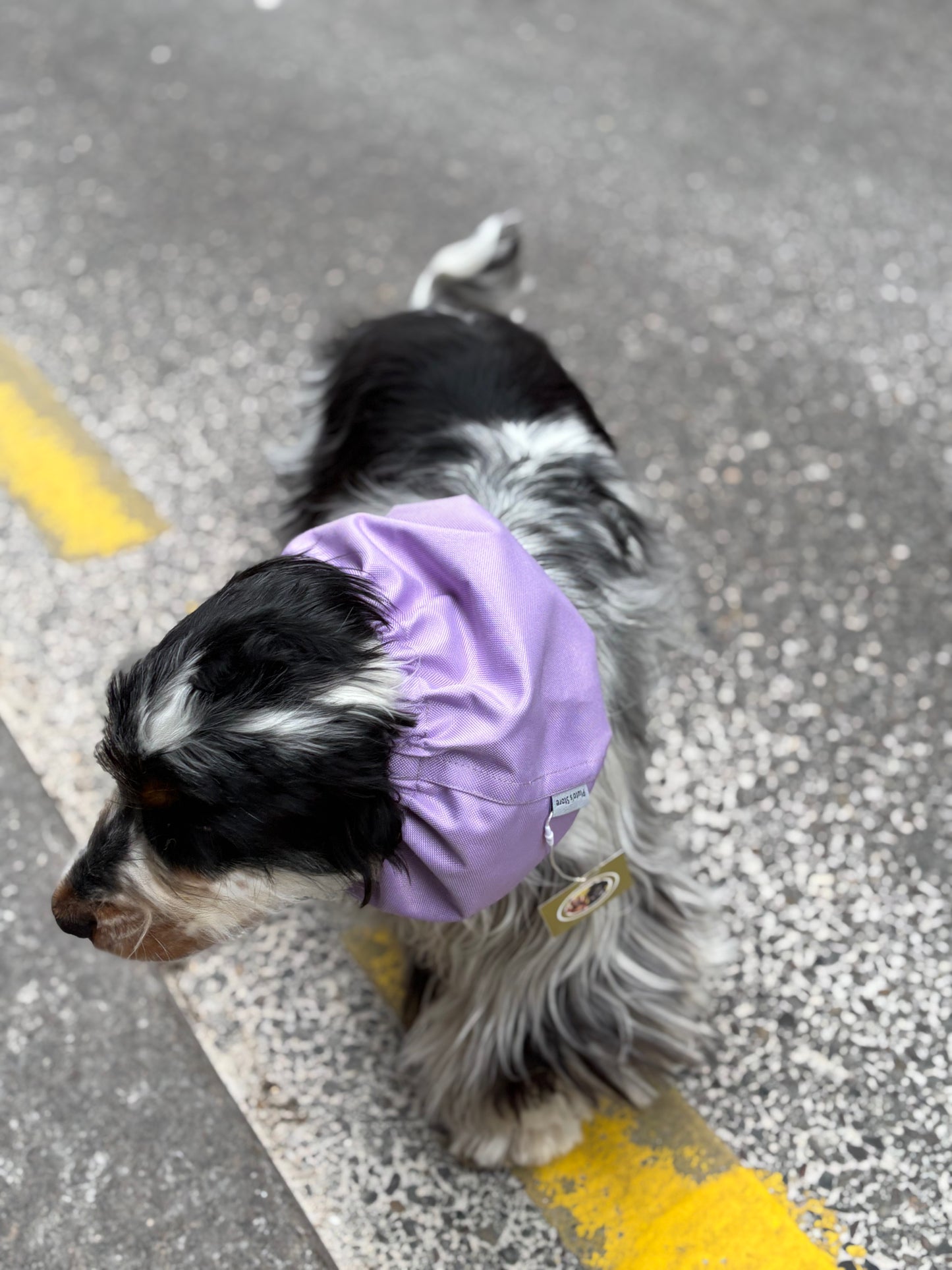 Snood imperméable Lila