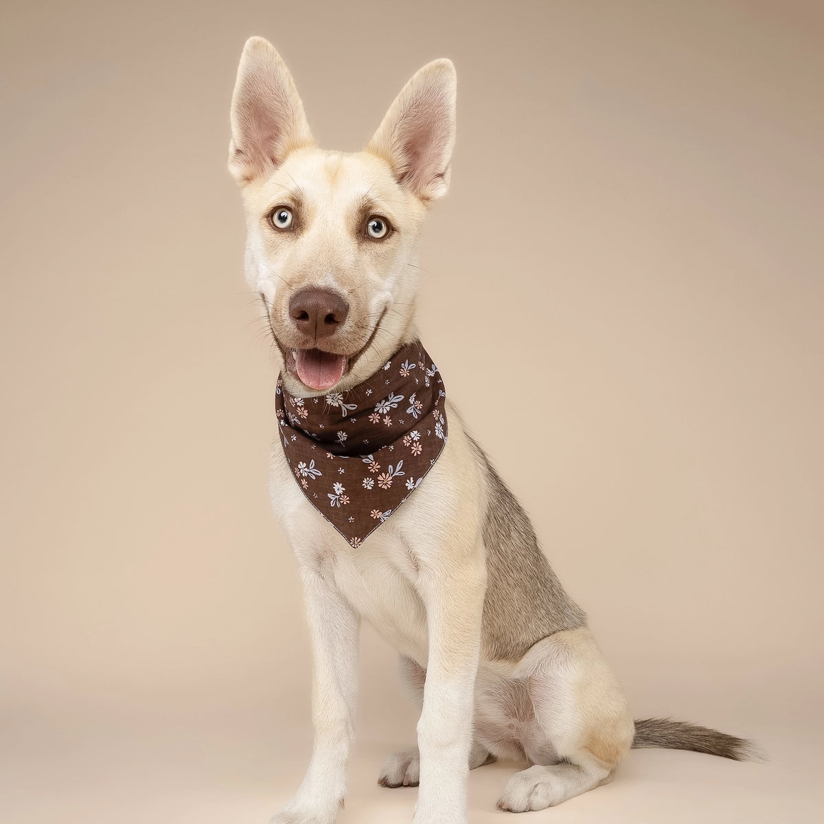 Bandana Hazel