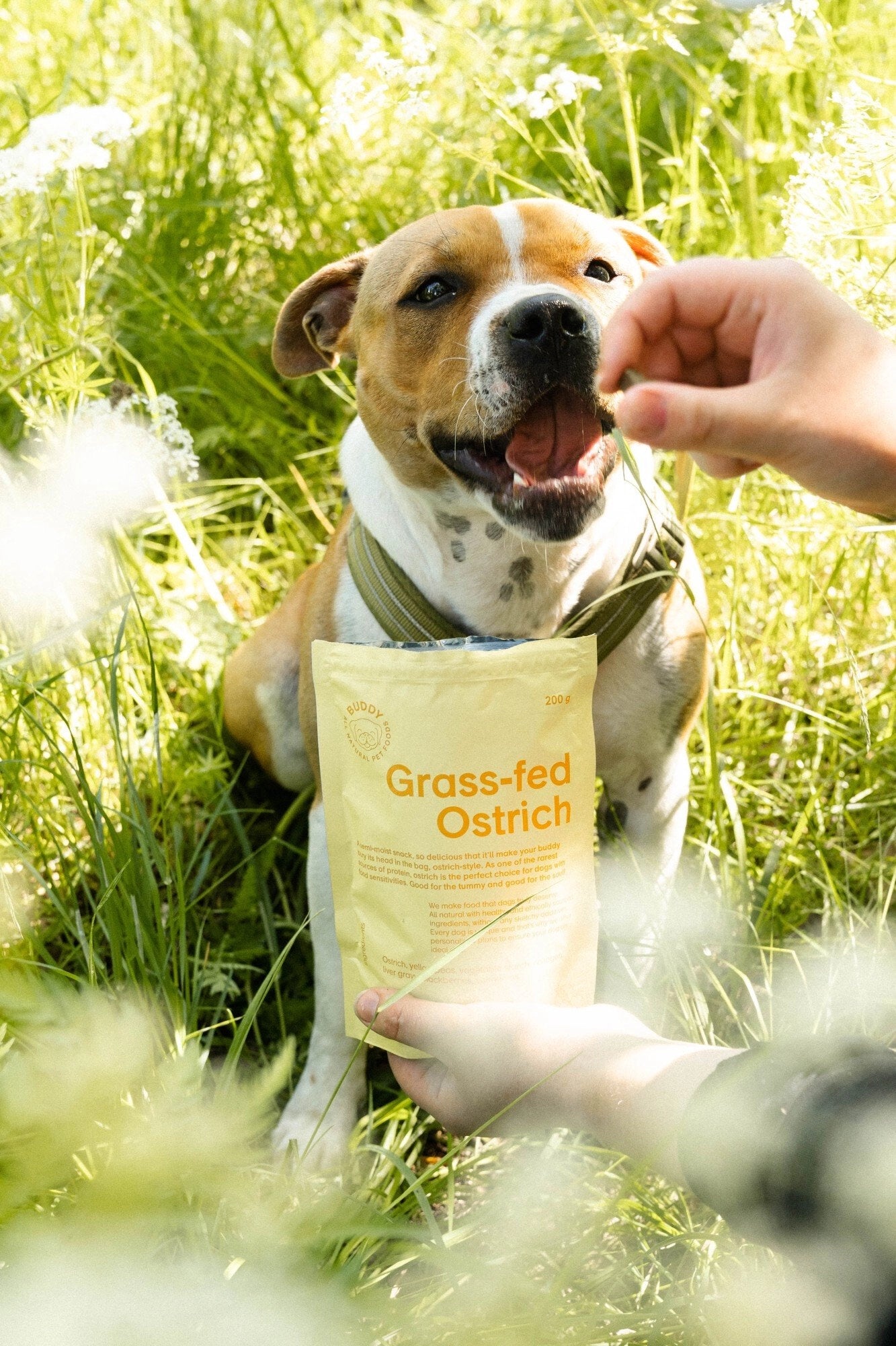 Natural ostrich treats