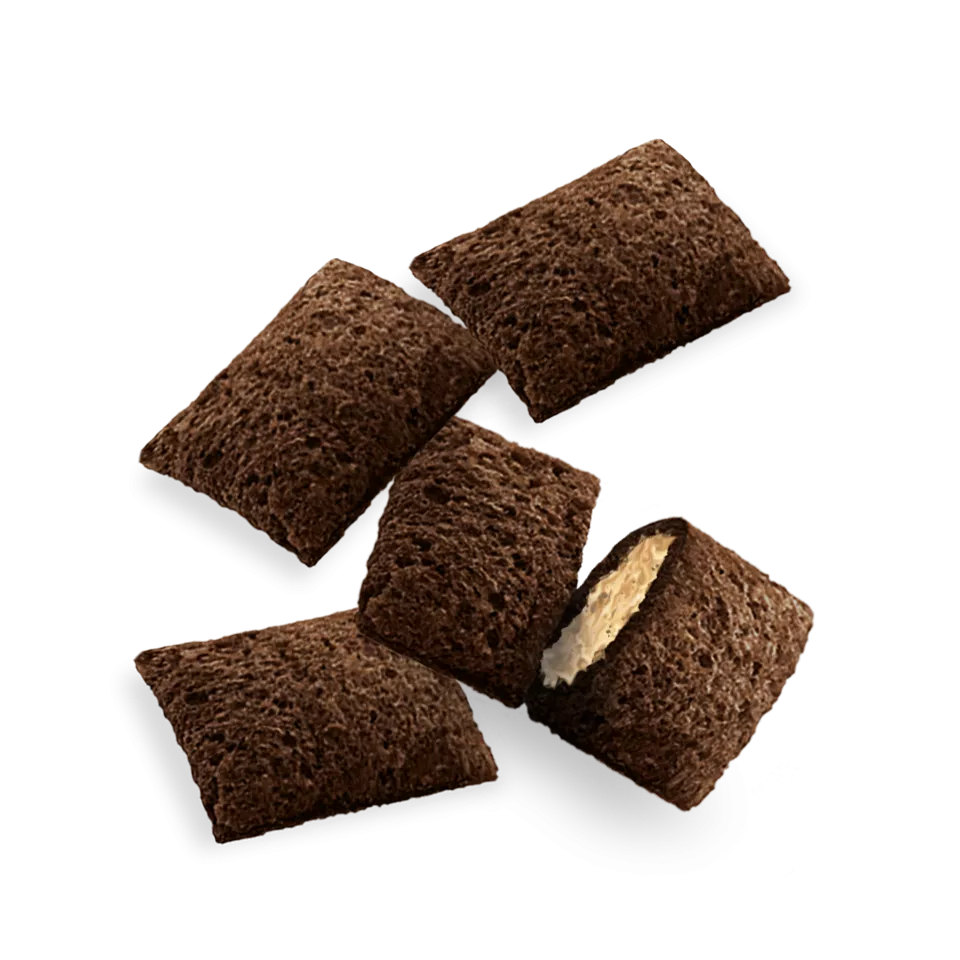 Crunchy salmon cat snack