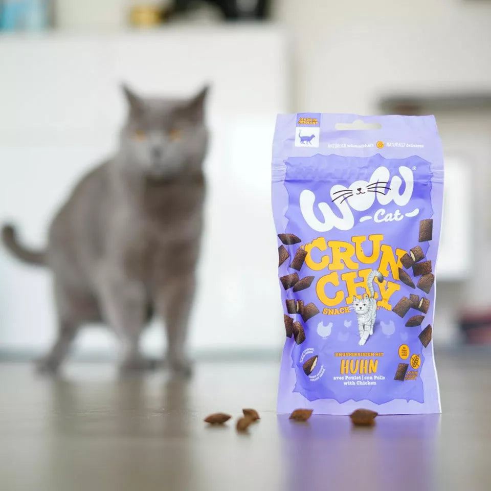 Crunchy chicken cat snack