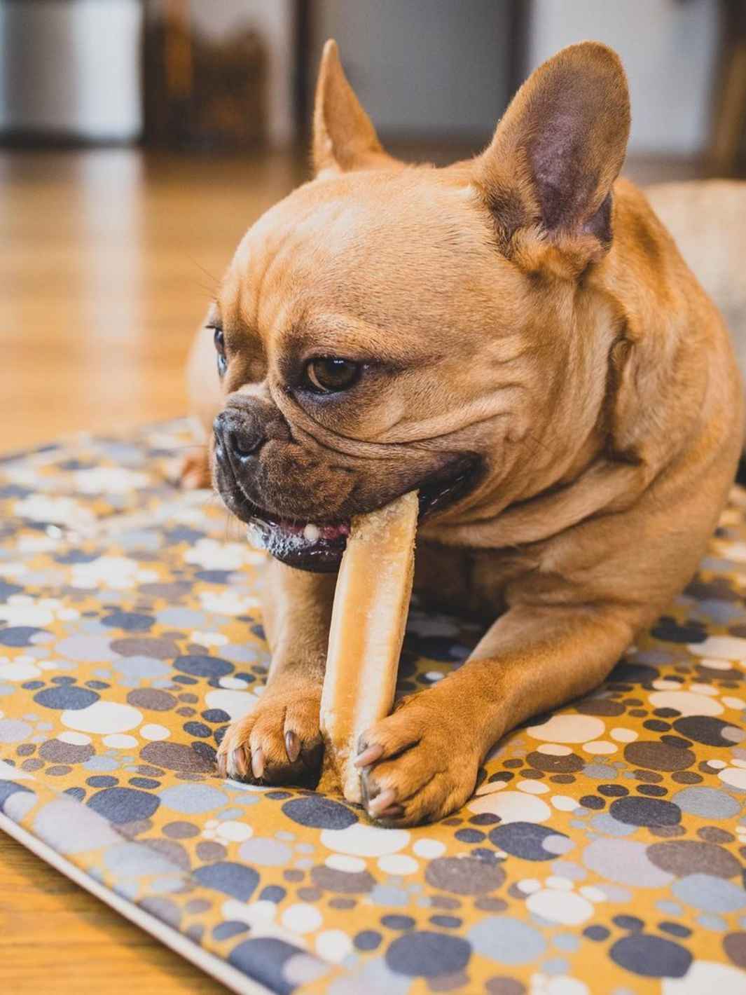 Fromage de yak Banane