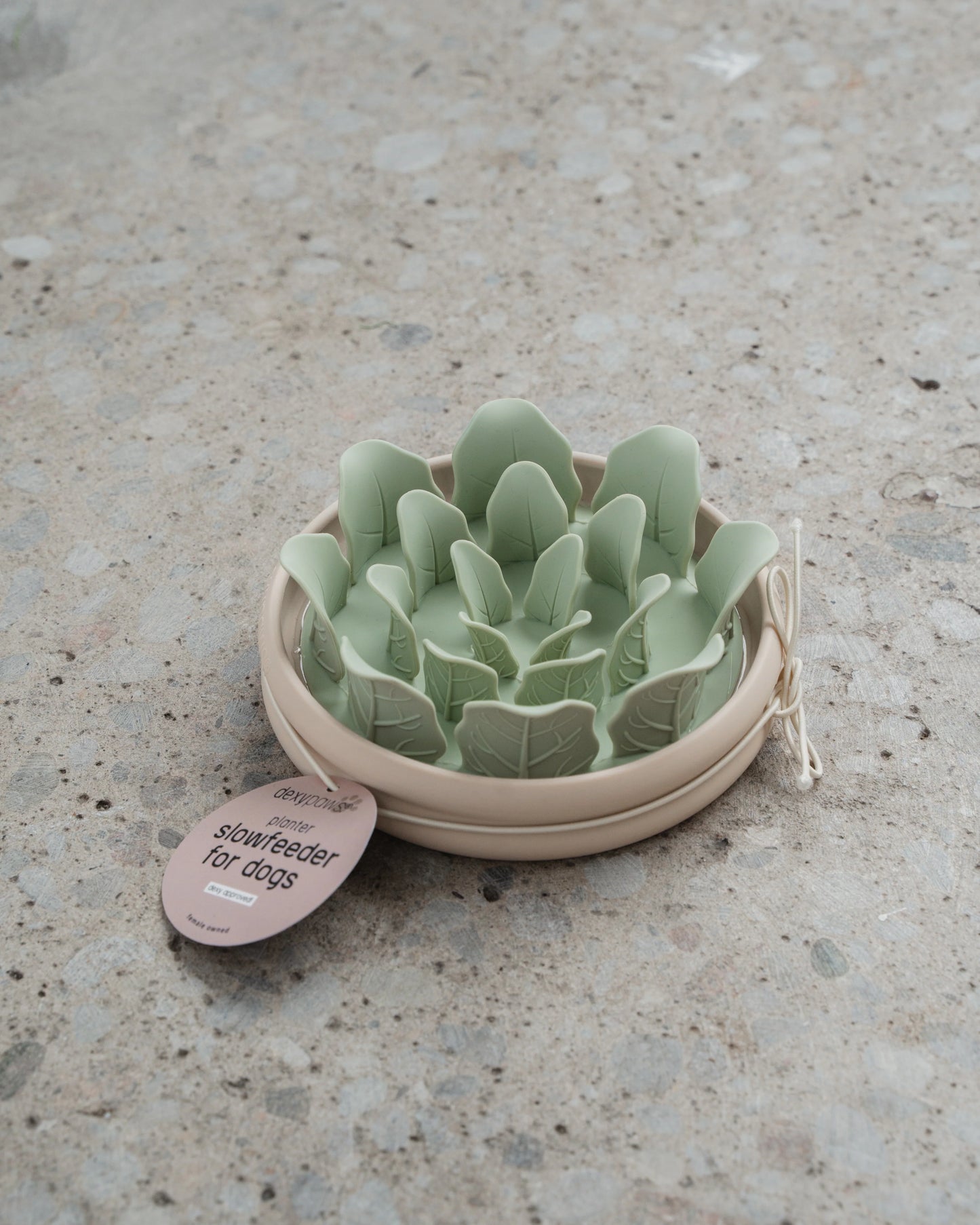 Gamelle anti-glouton