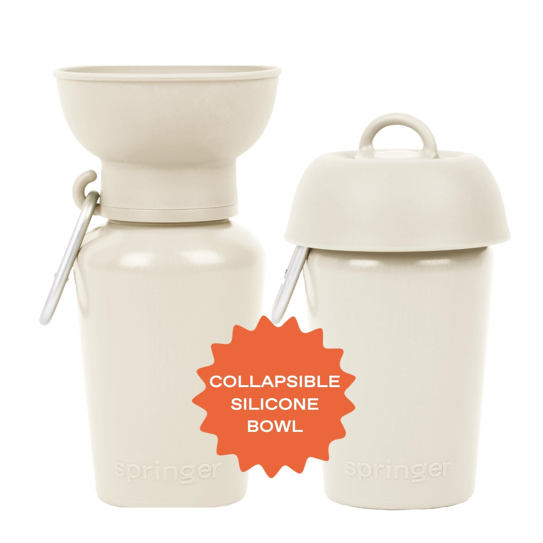Water bottle + treat dispenser Cream