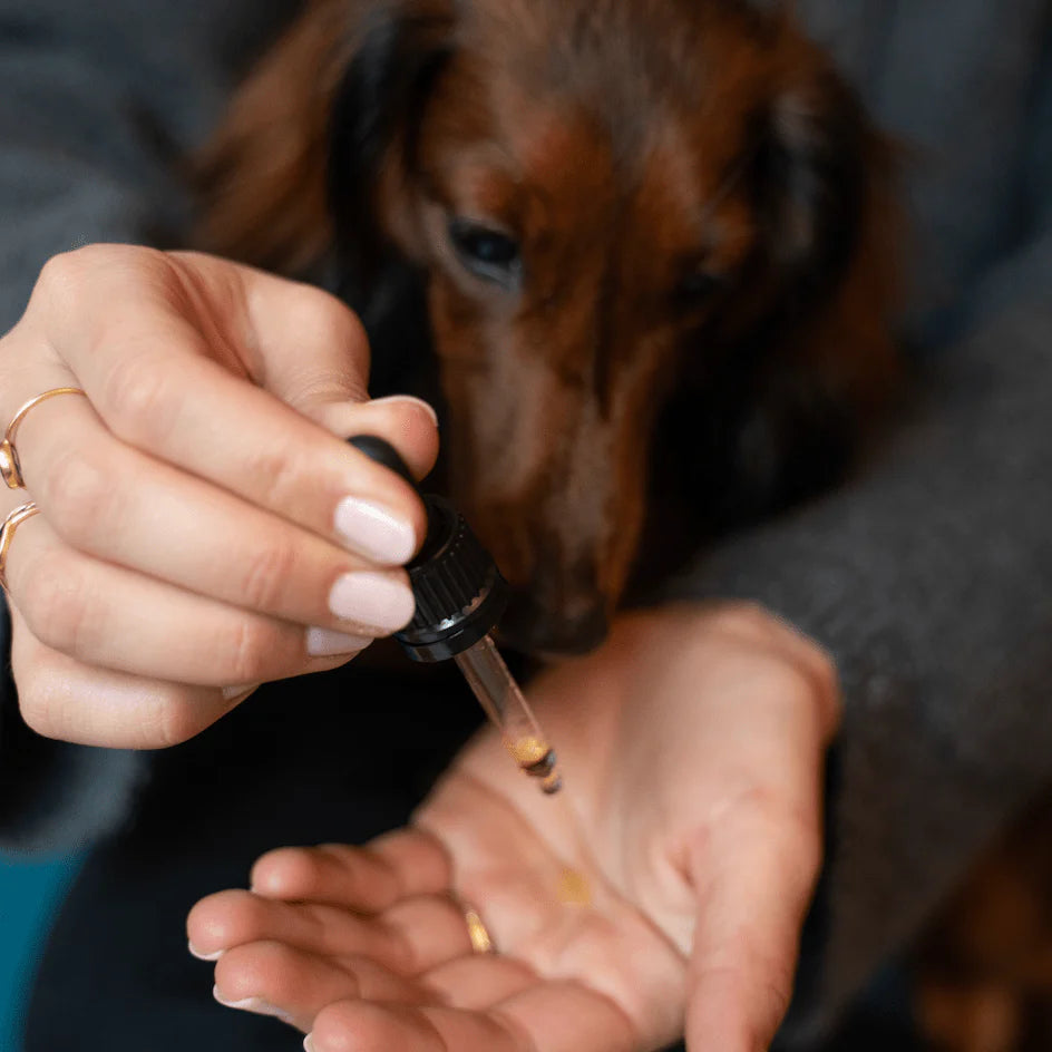 Huile de soin pour chien et chat
