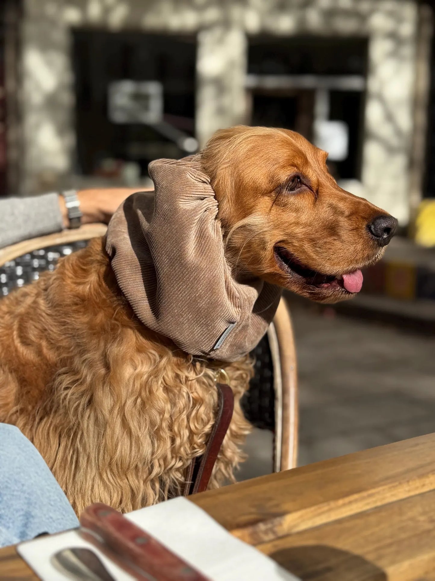 Light brown corduroy snood