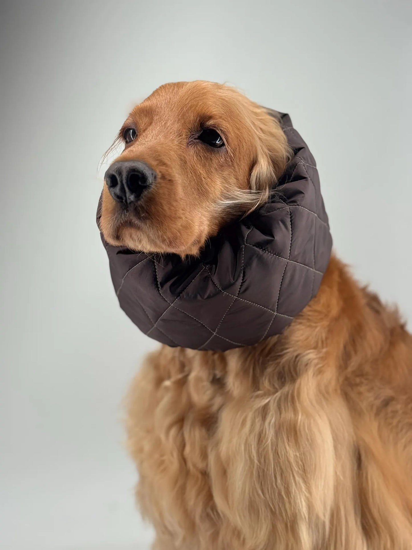 Snood doudoune Chocolat