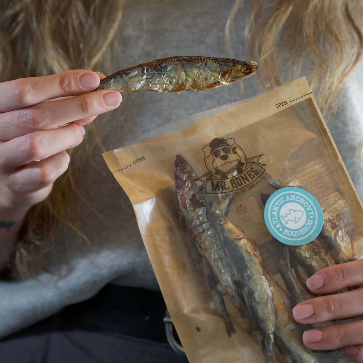 Natural dog snack - Atlantic anchovy