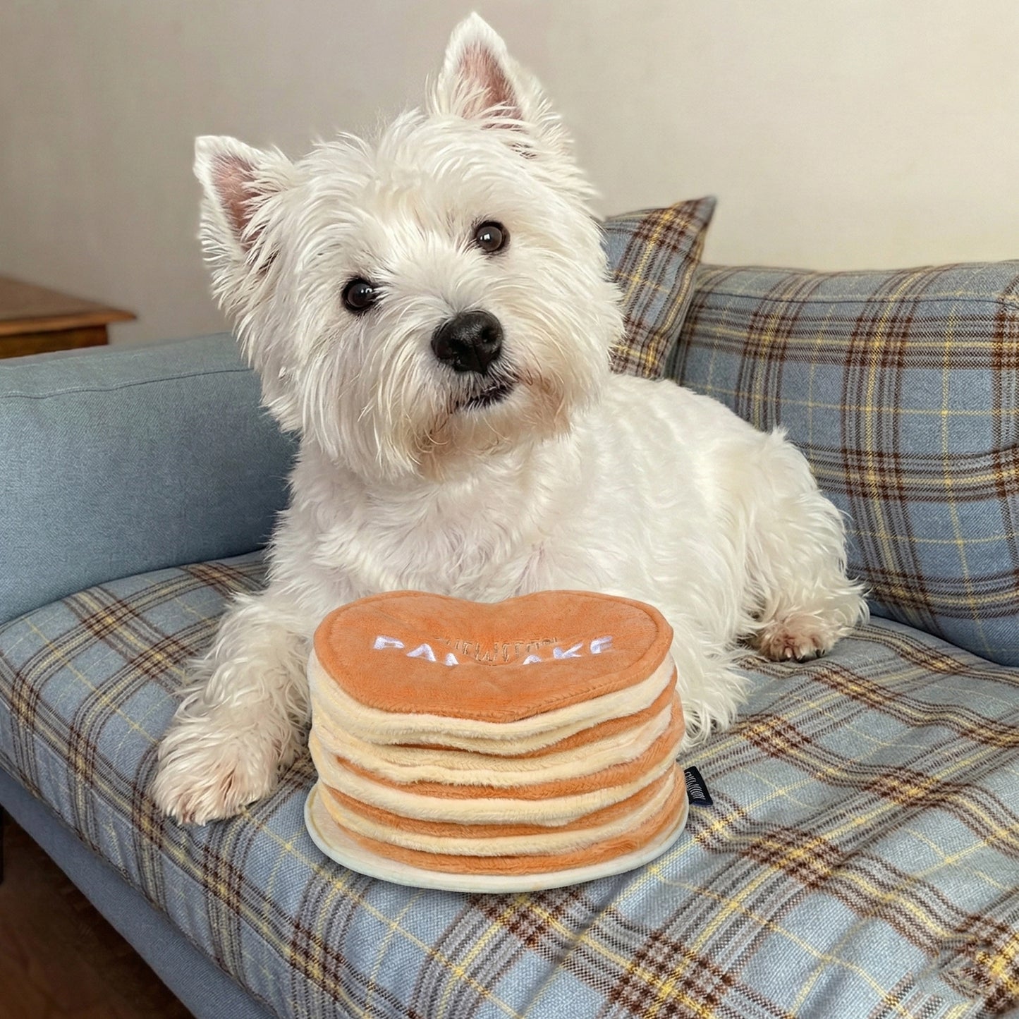 Jouet de fouille pancakes