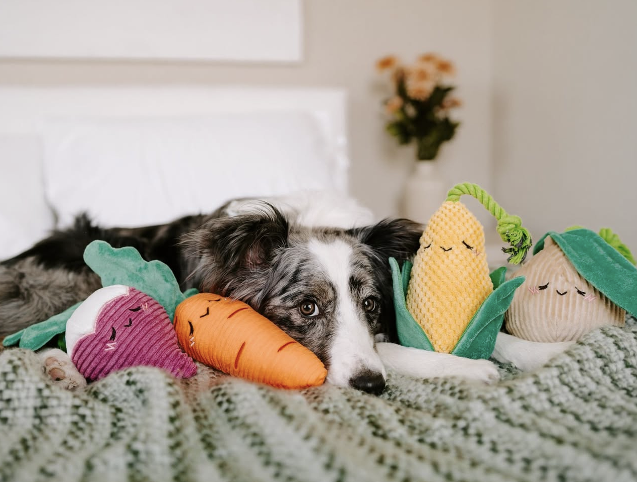 Carrot toy with rope
