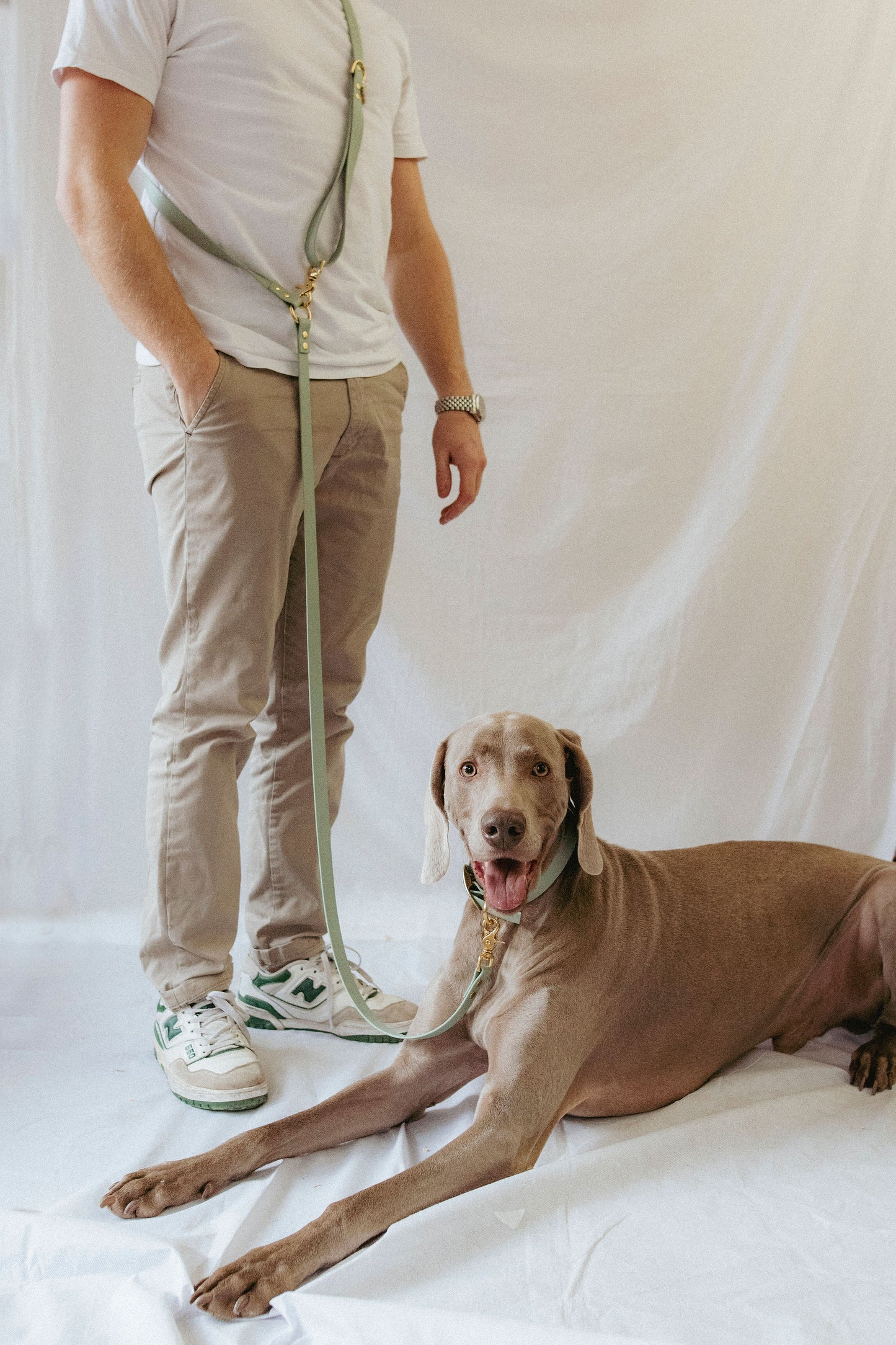 Laisse biothane multi positions Vert sauge