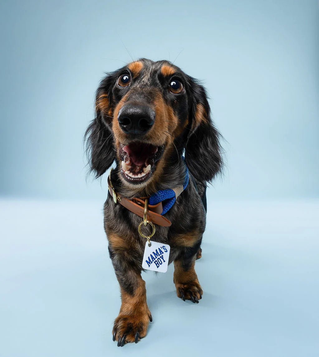 Médaille Mama's Boy