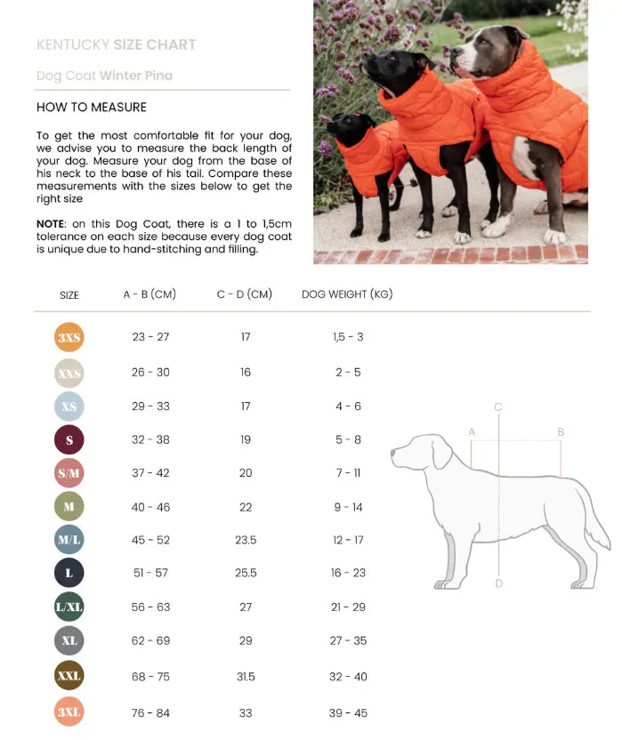 Doudoune pour chien Bleu