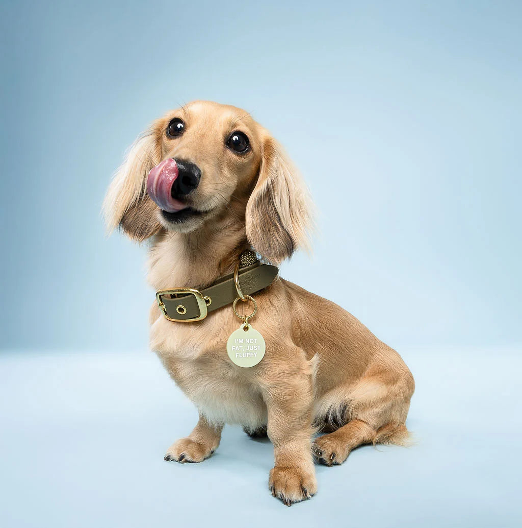 Médaille Not fat, Just fluffy