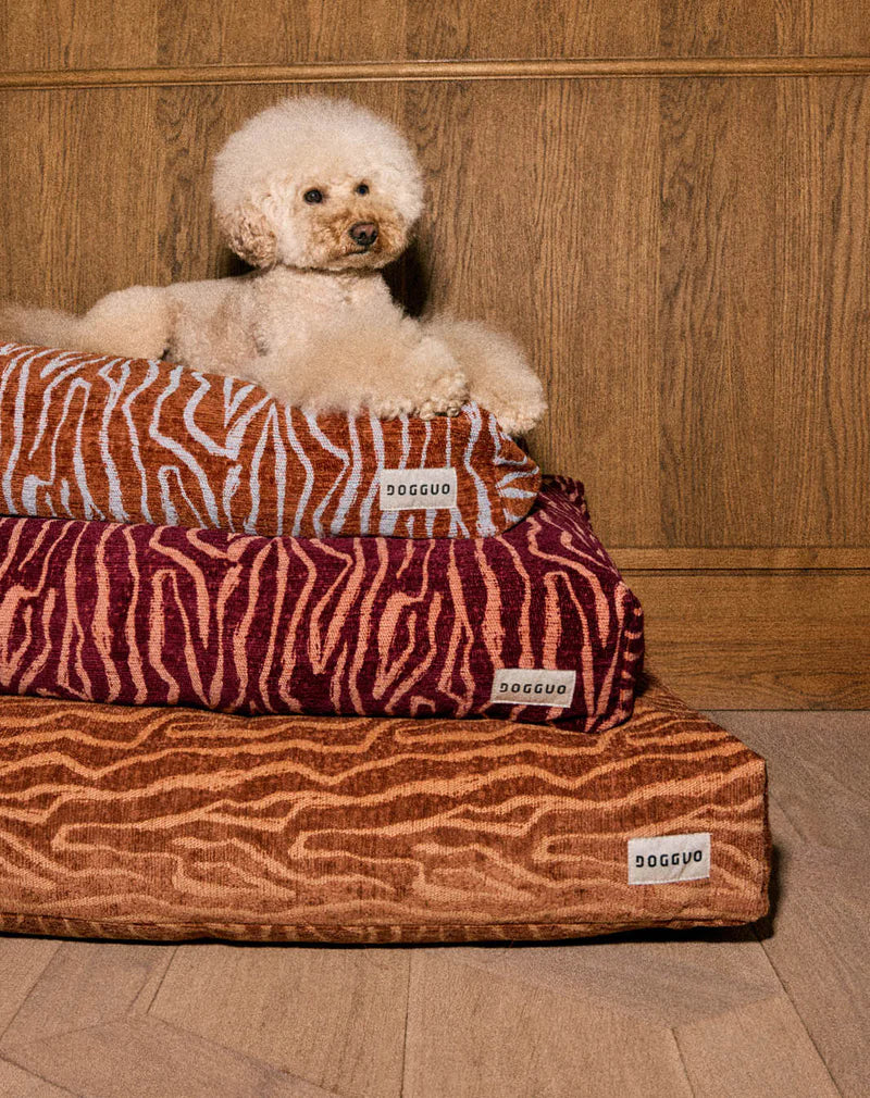 Coussin Ethnic