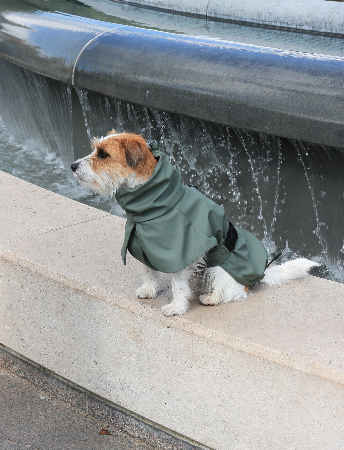 Green raincoat