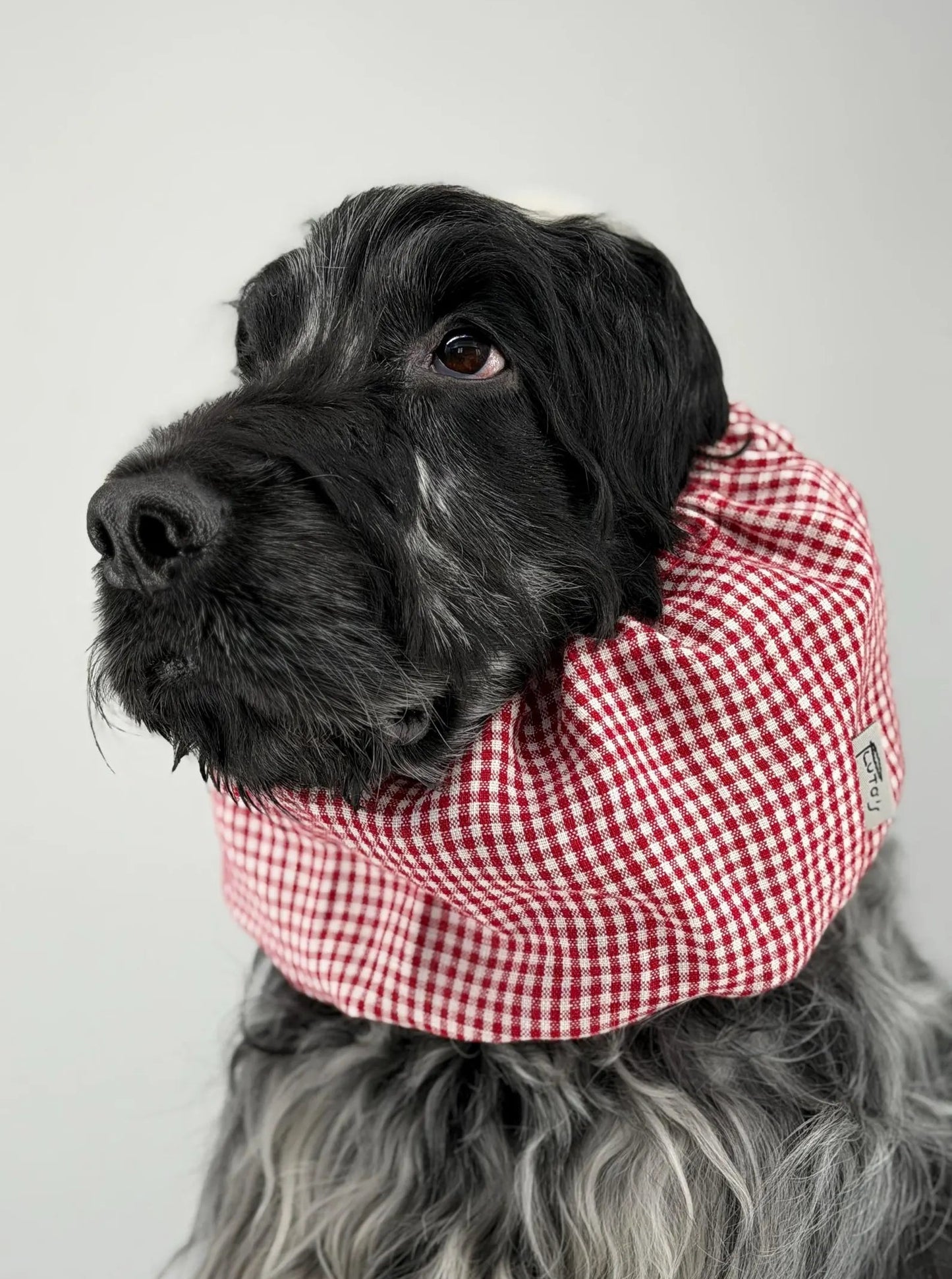 Snood vichy rouge en lin