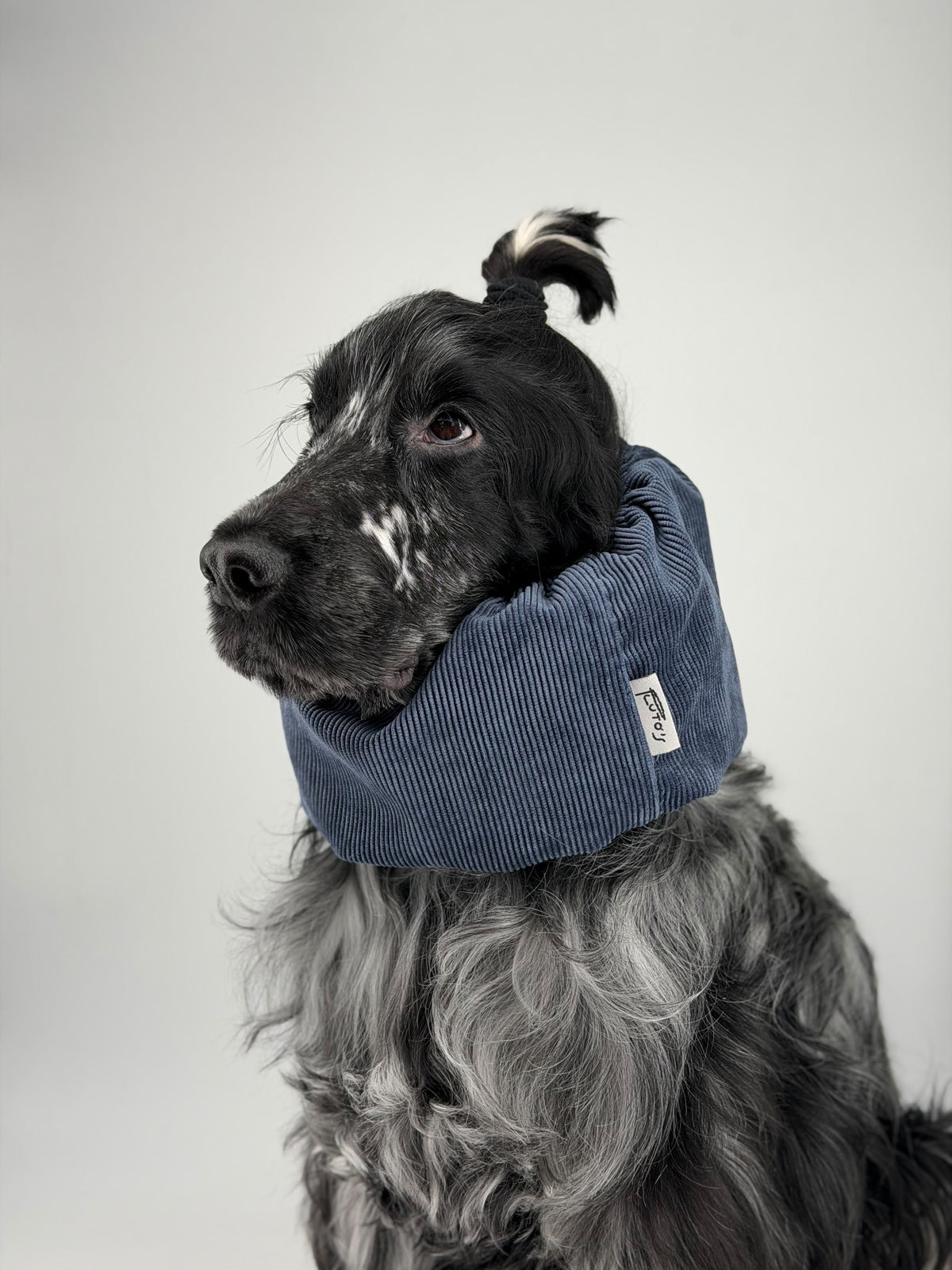 Snood velours côtelé Navy