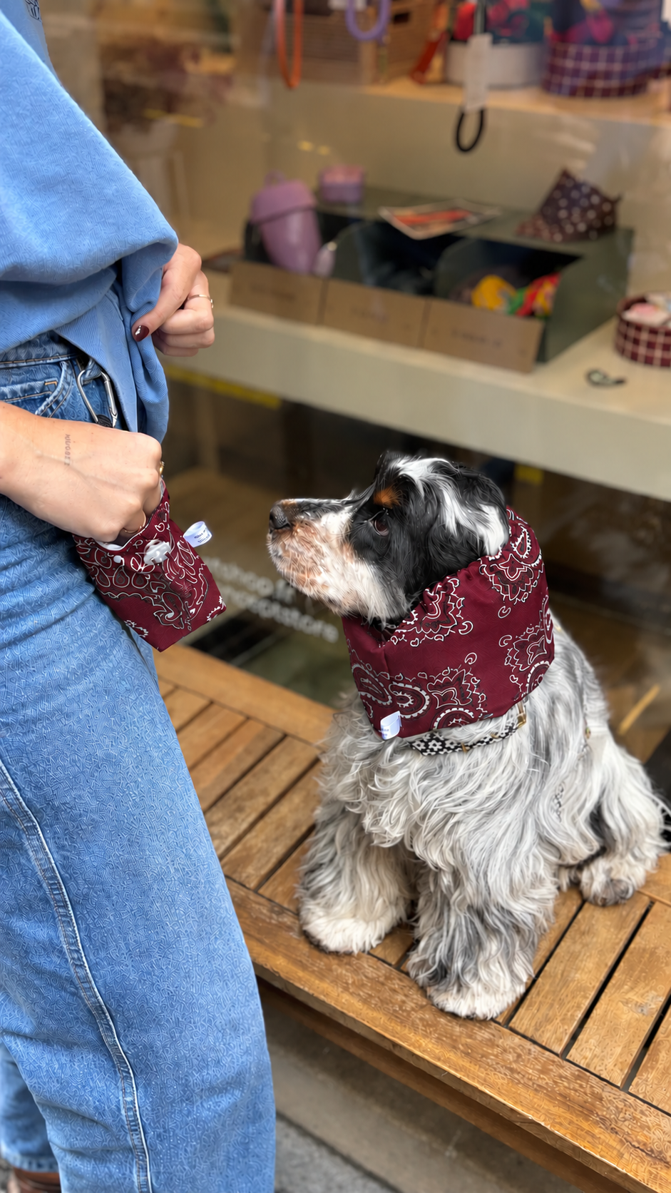 Snood imperméable bandana bordeaux