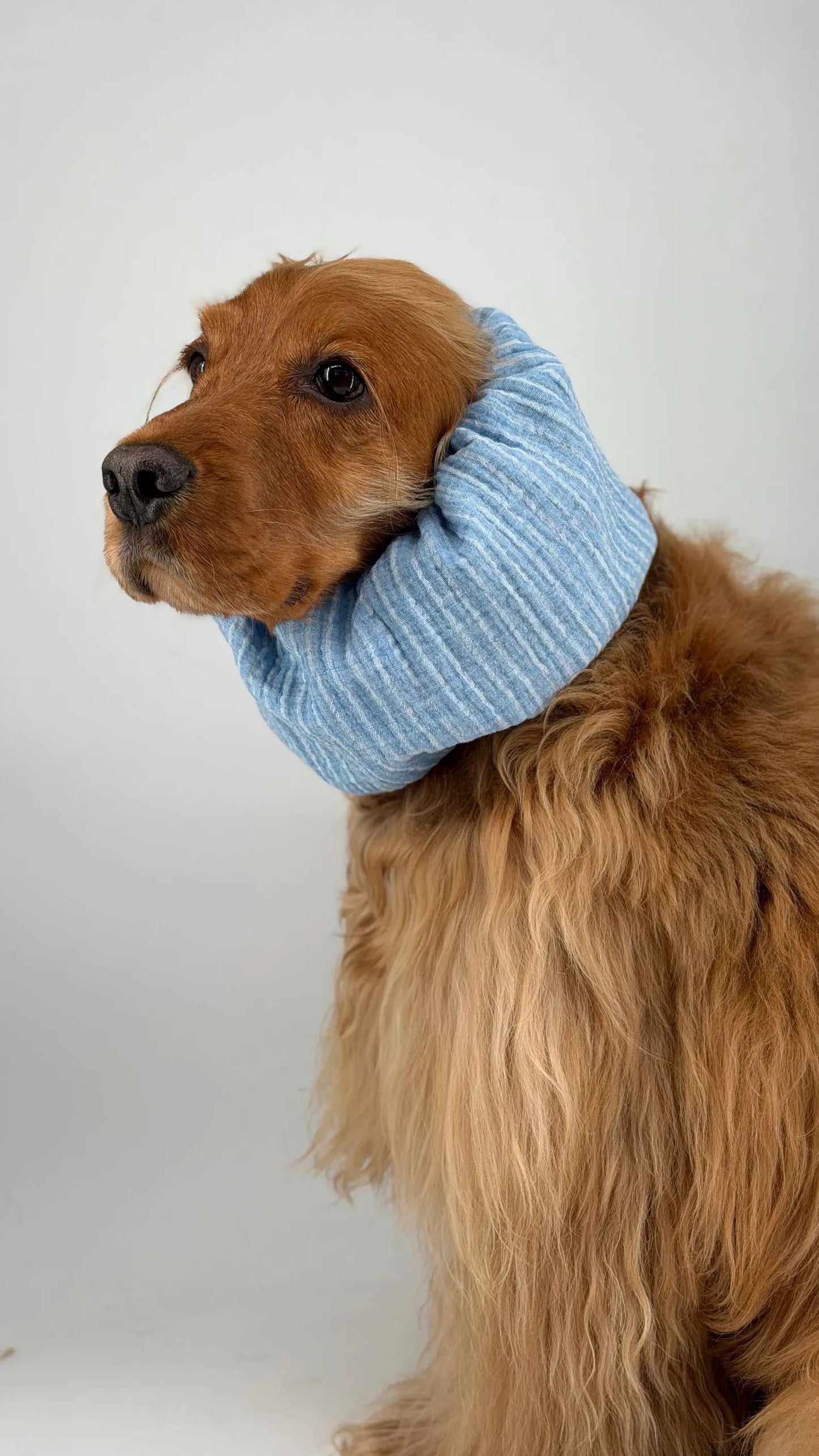 Snood bleu à rayures en coton