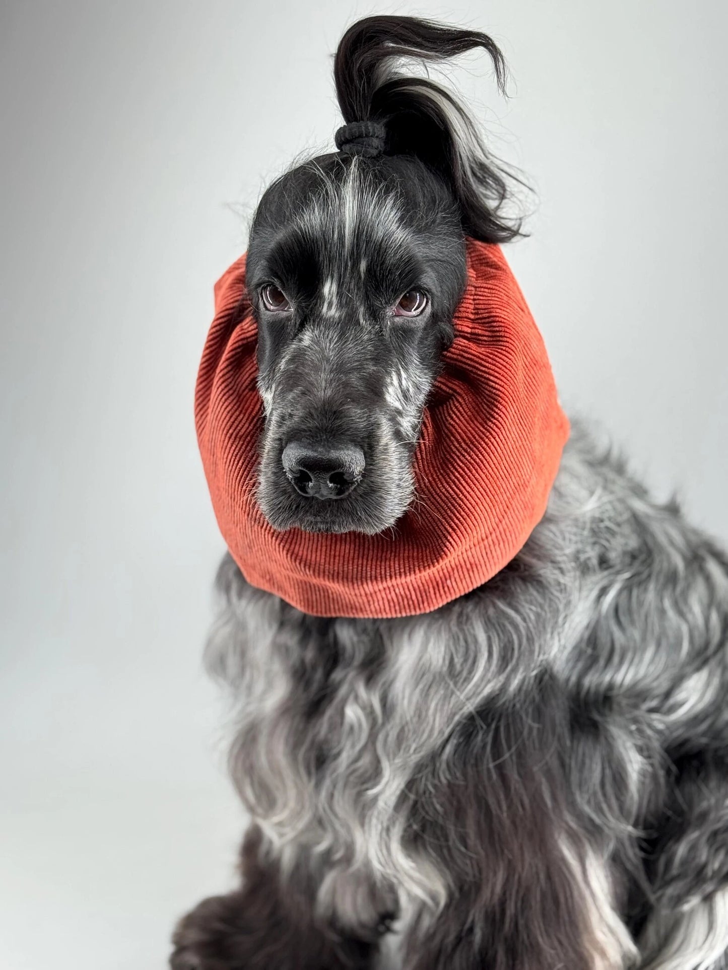 Snood velours côtelé Rouille