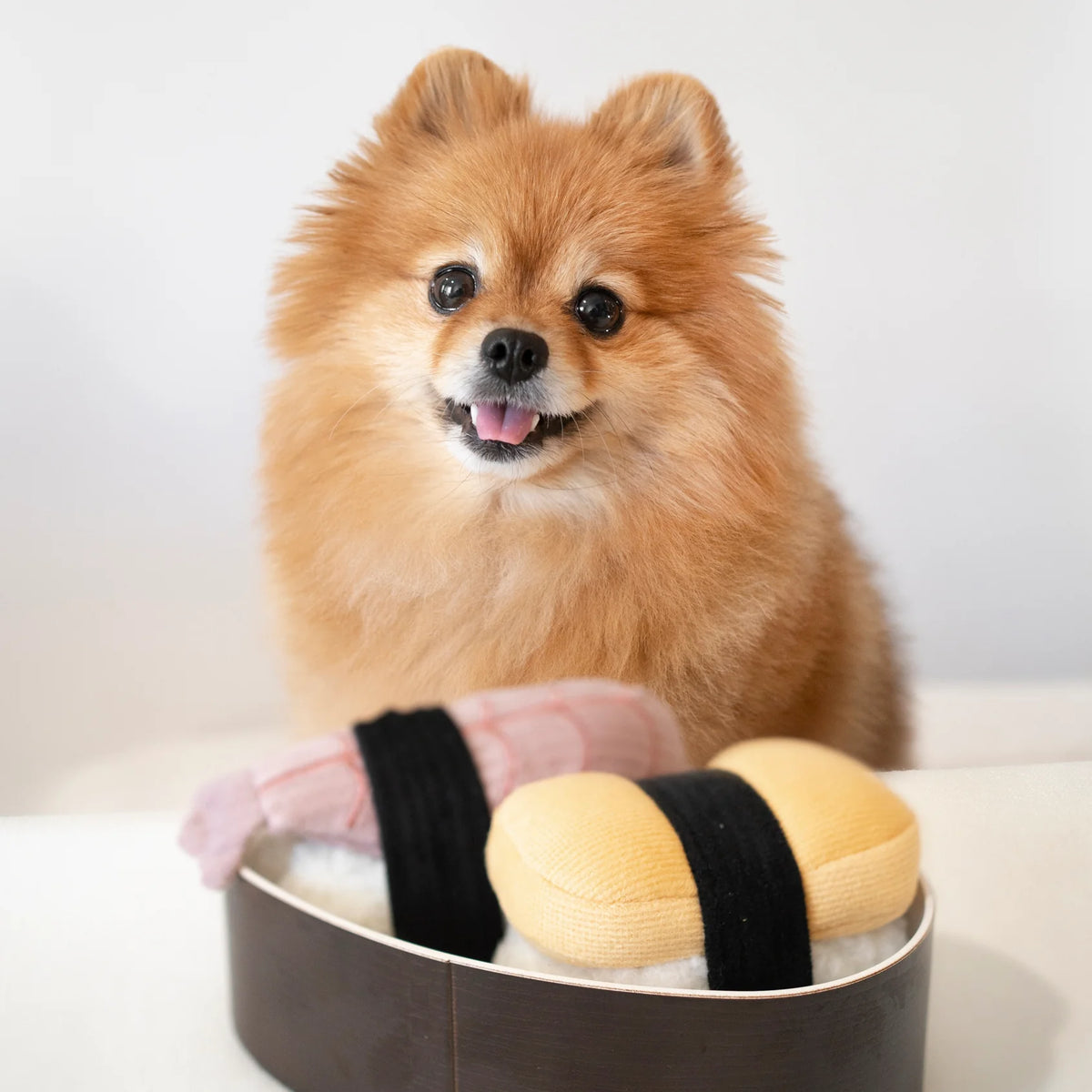 Jouet de fouille sushi