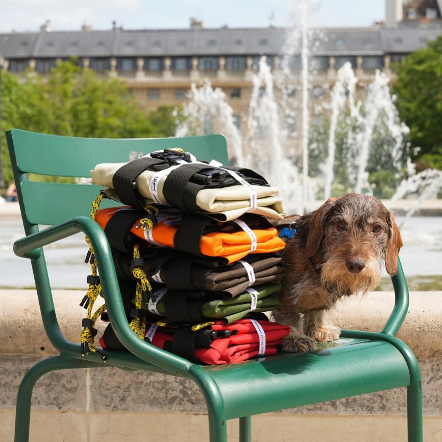 Dachshund carrier bag - Backpack model