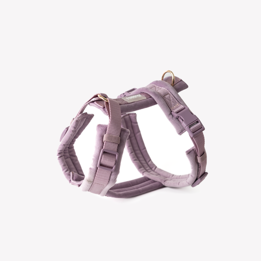 Lilac Velvet Harness