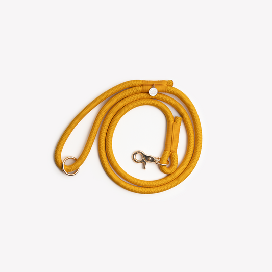 Laisse en nylon Yellow