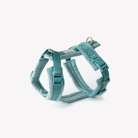 Blue Velvet Harness