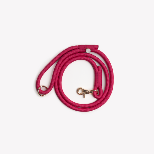 Laisse en nylon Magenta