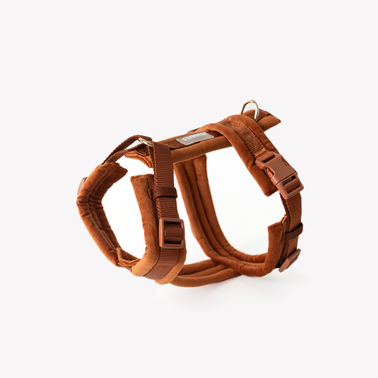 Velvet Clay Harness