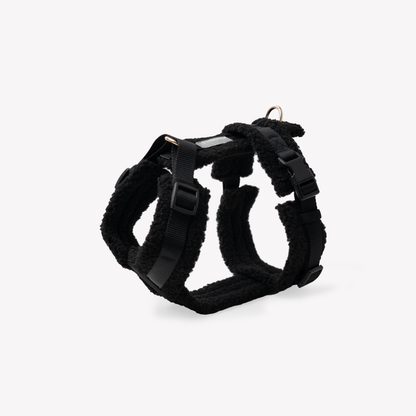Harnais sherpa Noir