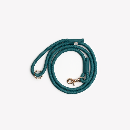 Laisse en nylon Blue