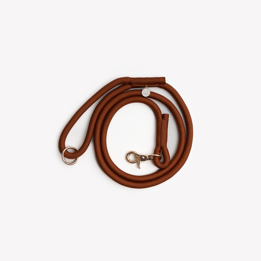 Laisse en nylon Clay