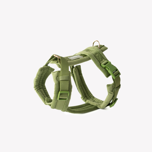 Green Velvet Harness