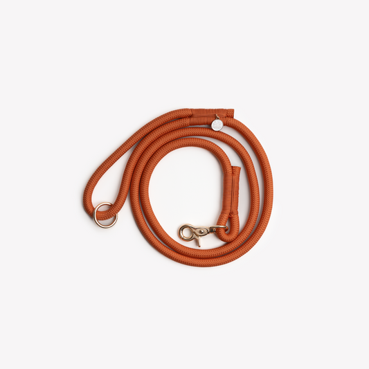Laisse en nylon Terracotta